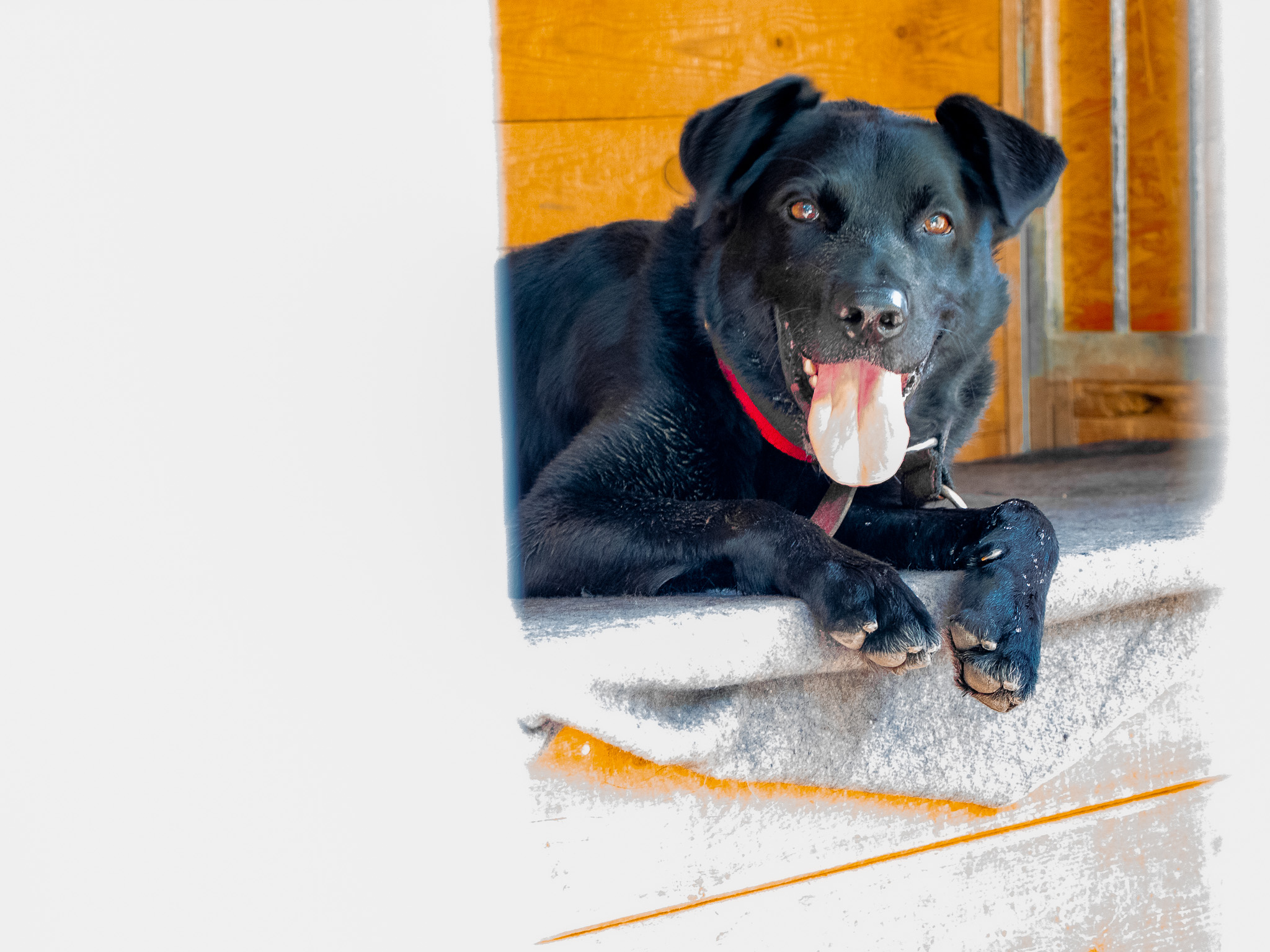 526380546_1033037605359375_5721024259225498455_n